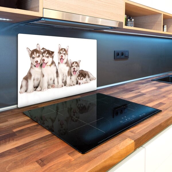 Kuchyňská deska skleněná Štěně Husky pl-ko-80x52-f-110309501