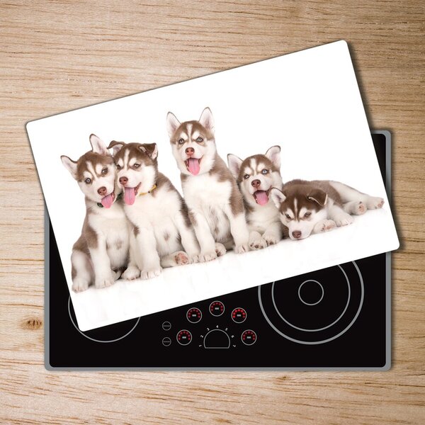 Kuchyňská deska skleněná Štěně Husky pl-ko-80x52-f-110309501
