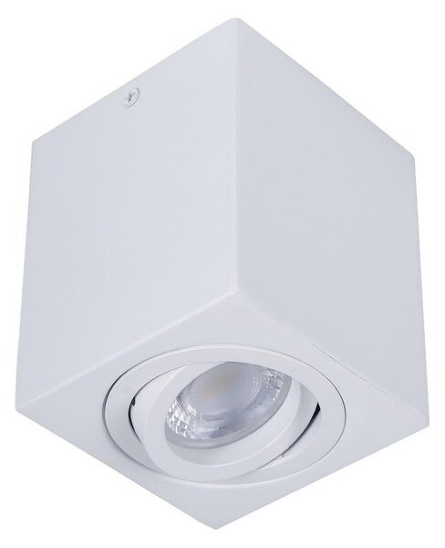 Bodové svítidlo SIN 1xGU10/50W/230V bílá