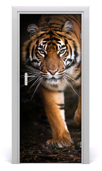 Fototapeta samolepící na dveře tygr 75x205 cm