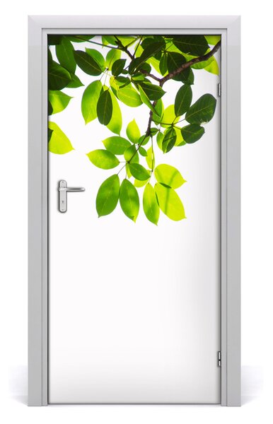 Fototapeta na dveře Zelené listí 85x205 cm