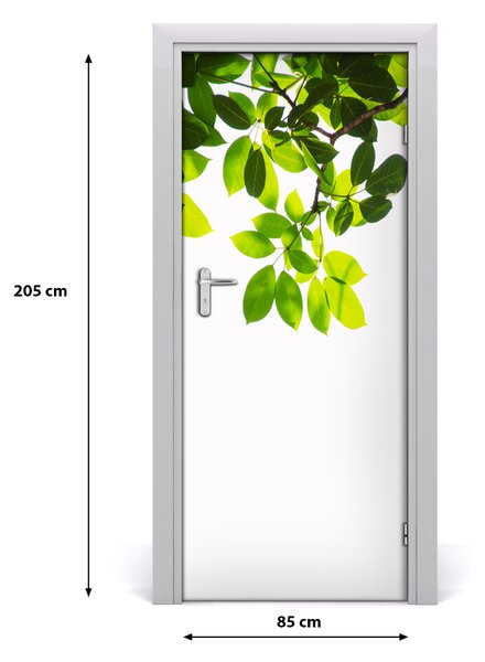 Fototapeta na dveře Zelené listí 85x205 cm