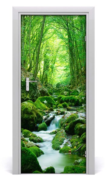 Fototapeta na dveře potok džungle 75x205 cm