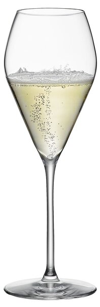 Rona Sklenice na prosecco Universal 230 ml 6 ks