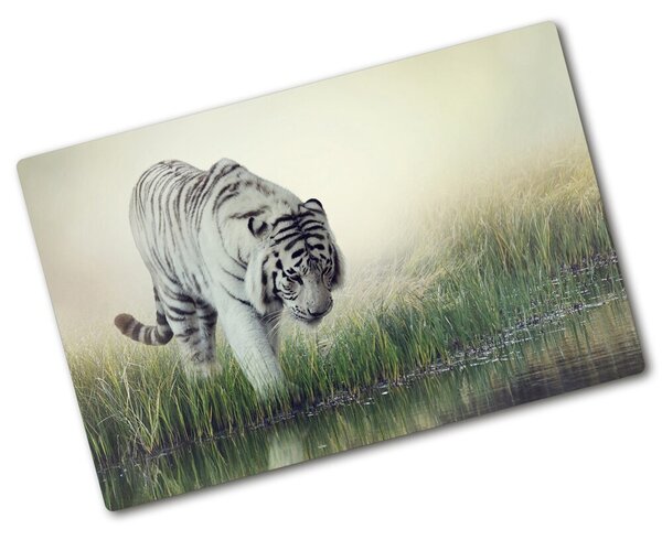 Kuchyňská deska skleněná Bílý tygr pl-ko-80x52-f-84071201