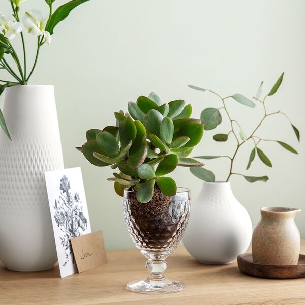 Villeroy & Boch 11-7299-0020 Sklenice pro víno červené Boston 200 ml