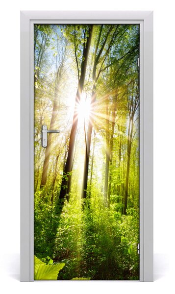 Fototapeta na dveře samolepící slunce v lese 75x205 cm