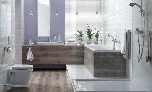 BISK Erga NATURA, toaletní WC kartáč na zeď, chromový, ERG-04308