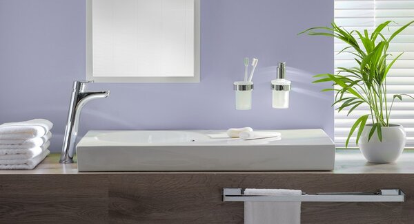 BISK Erga NATURA, toaletní WC kartáč na zeď, chromový, ERG-04308
