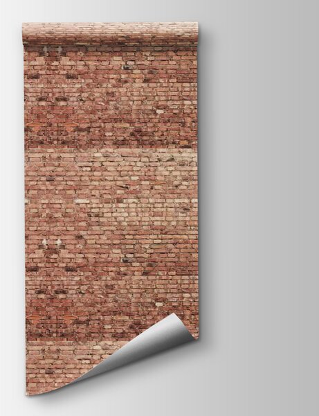Fototapeta Cihlová zeď s několika řadami cihel, 3D fototapety, Populární fototapety, u53032 - Tapeko.co.cz