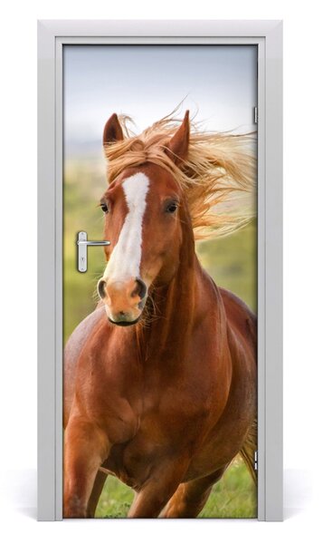 Samolepící fototapeta na dveře Kůň ve cvalu 75x205 cm