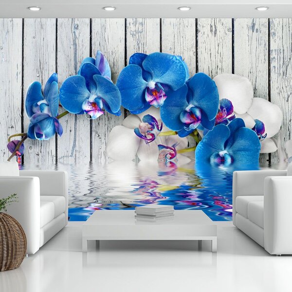 Fototapeta - Kobaltová orchidej + zdarma lepidlo - 200x140