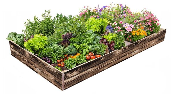 ATMOWOOD Dřevěný vyvýšený záhon 240 x 100 x 20 cm - opálený hnědý