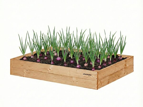 ATMOWOOD Modřínový vyvýšený záhon 120 x 80 x 20 cm hnědý