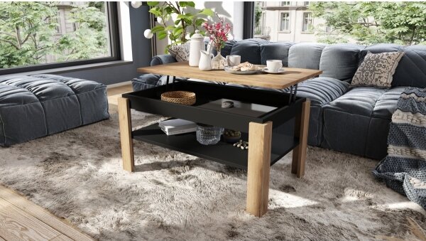 Konferenční stůl se zvedací deskou a policí ADEN 100x60 cm dub craft/černá