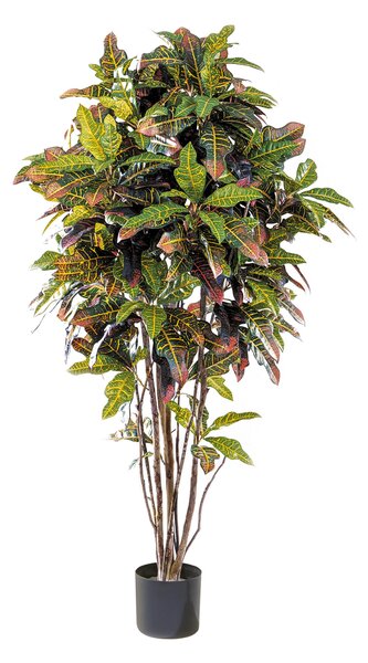 Umělý strom Croton přírodní kmen, 110cm