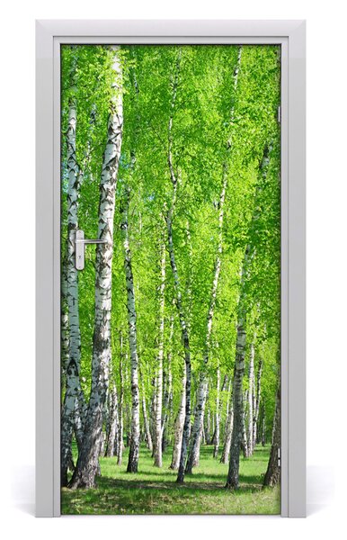 Fototapeta na dveře samolepící břízový les 85x205 cm