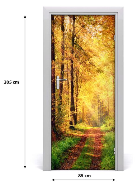 Fototapeta na dveře les podzim 85x205 cm