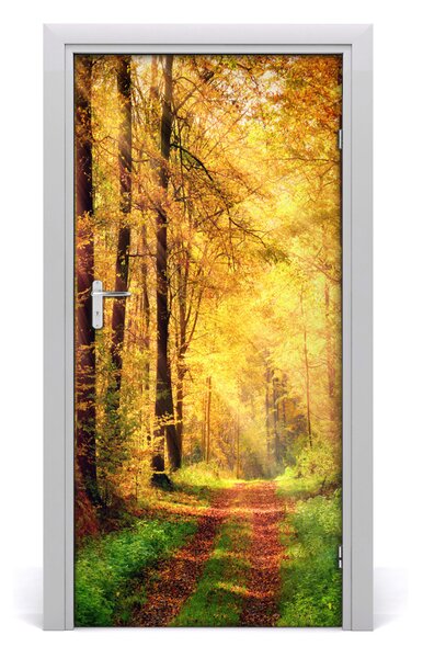 Fototapeta na dveře les podzim 85x205 cm