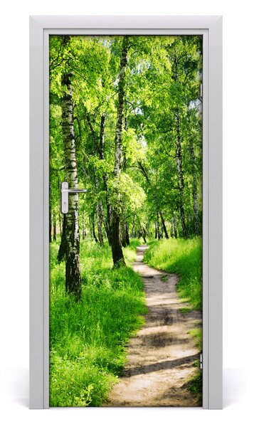 Fototapeta na dveře břízový les 75x205 cm
