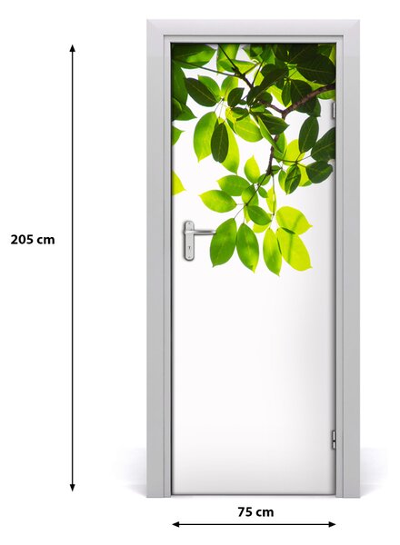 Fototapeta na dveře Zelené listí 75x205 cm