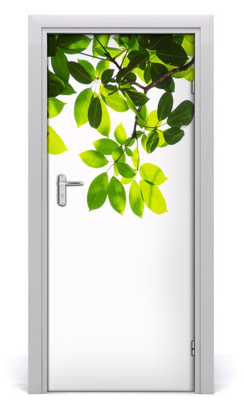 Fototapeta na dveře Zelené listí 75x205 cm