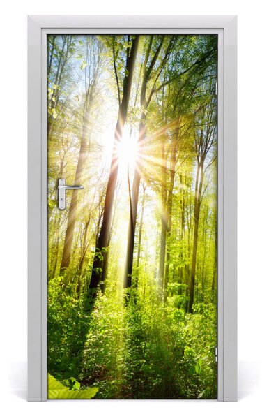Fototapeta na dveře samolepící slunce v lese 85x205 cm