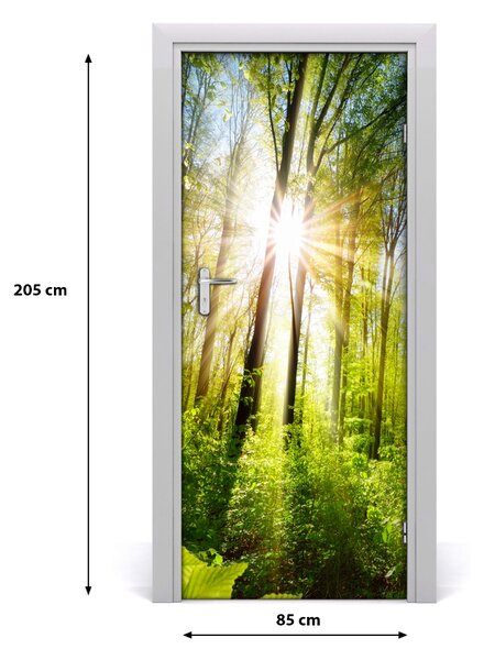 Fototapeta na dveře samolepící slunce v lese 85x205 cm