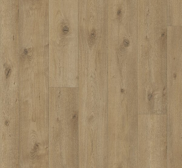 PARADOR Trendtime 6 Dub everglade přírodní 1748791 - 2.67 m2