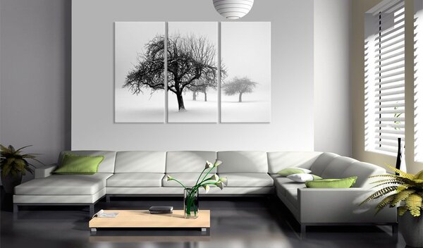 Obraz - Zasněžené stromy 60x40