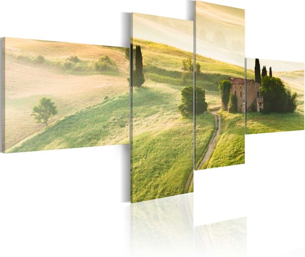 Obraz - Idylická toskánská krajina 100x45