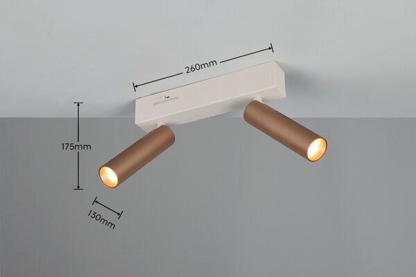 Trio T849210265 LED bodové stropní svítidlo AMBALA | 5W integrovaný LED zdroj | 2x500lm | 2300+3000+4000K | hnědá