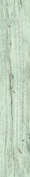 EUROWOOD Purus plus Dub monolith 45363/0013 D3660 - 2.69 m2