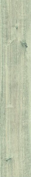 EUROWOOD Purus Dub taiga 45365/4787 D4787 - 2.13 m2