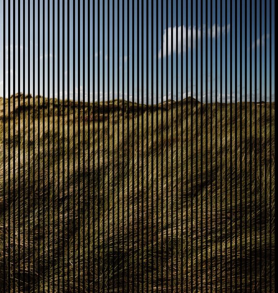 Neuhofer Designový akustický panel „Travnaté kopce“ (Gras01) Vyberte požadovaný rozměr: NR. 4: 1693 x 2400 mm (3 panely)