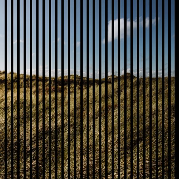 Neuhofer Designový akustický panel „Travnaté kopce“ (Gras01) Vyberte požadovaný rozměr: NR. 4: 1693 x 2400 mm (3 panely)