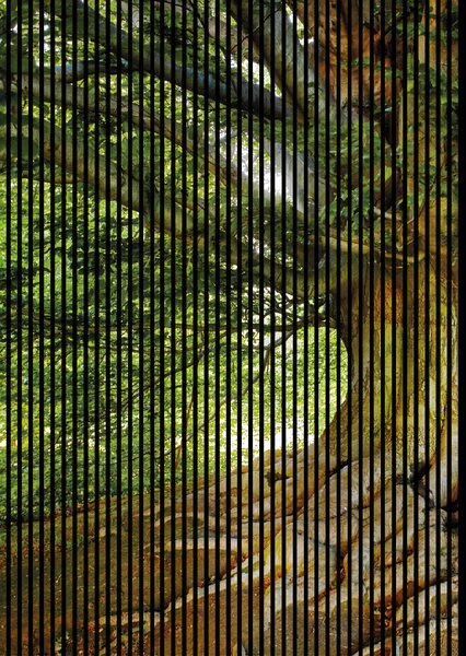 Neuhofer Designový akustický panel „Strom“ (Baum01) Vyberte požadovaný rozměr: NR. 3: 1133 x 2400 mm (2 panely)