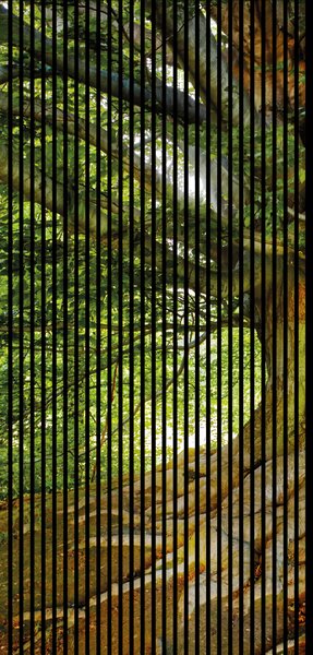 Neuhofer Designový akustický panel „Strom“ (Baum01) Vyberte požadovaný rozměr: NR. 3: 1133 x 2400 mm (2 panely)