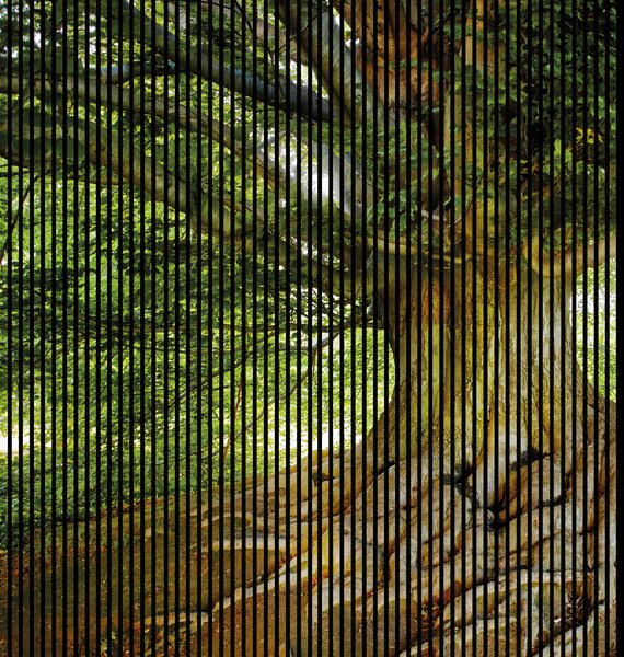 Neuhofer Designový akustický panel „Strom“ (Baum01) Vyberte požadovaný rozměr: NR. 3: 1133 x 2400 mm (2 panely)