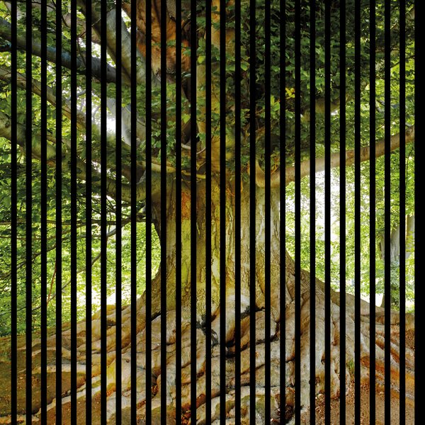 Neuhofer Designový akustický panel „Strom“ (Baum01) Vyberte požadovaný rozměr: NR. 3: 1133 x 2400 mm (2 panely)