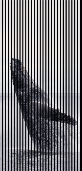 Neuhofer Designový akustický panel „Velryba“ (Wal02) Vyberte požadovaný rozměr: NR. 3: 1133 x 2400 mm (2 panely)