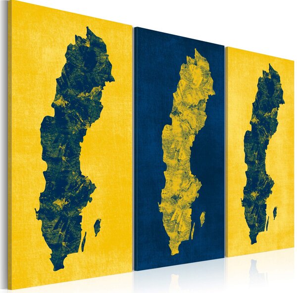 Obraz - Malovaná mapa Švédska 60x40