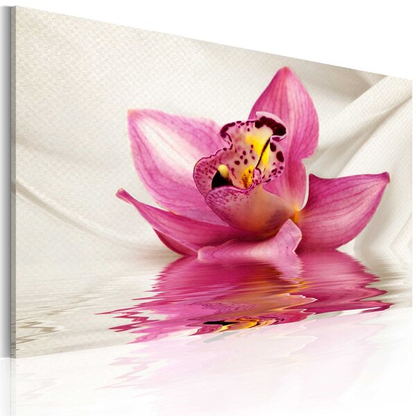 Obraz - Neobvyklá orchidej 60x40