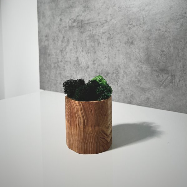 Wooden Mooden Dřevěný květináč s mechem Materiál: Jasan, Výška: 5 cm