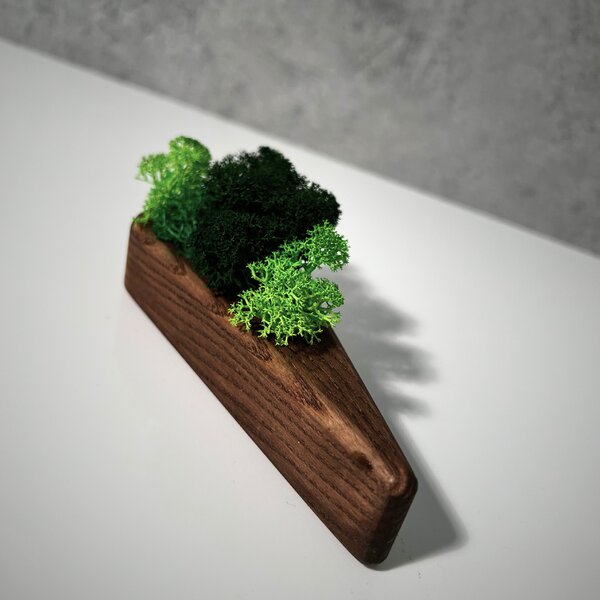 Wooden Mooden Květináč s mechem Šíp Materiál: Jasan