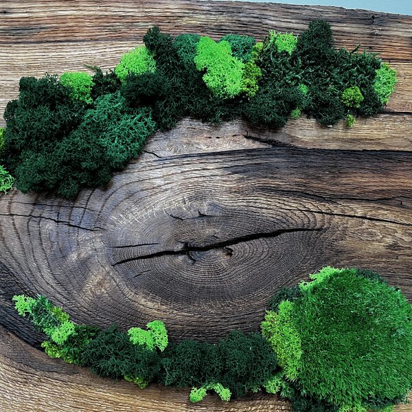 Wooden Mooden Stylové dřevěné mechové hodiny na zeď