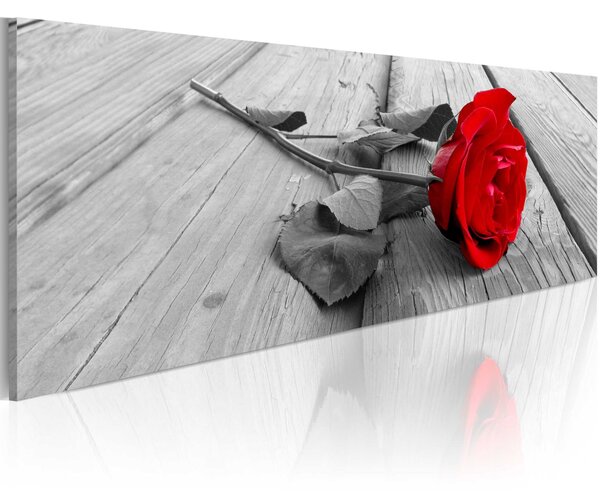 Obraz - Karmínová růže 135x45