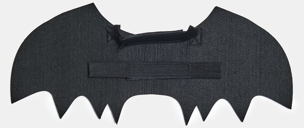 Sinsay - Halloweenský kostým netopýra pro psa - černá