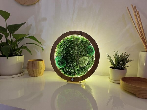 "Mechové kopečky" dřevěná lampa/obraz 31 cm/s baterií a pohybovým čidlem provedení povrchu: dub světlý