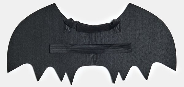 Sinsay - Halloweenský kostým netopýra pro psa - černá